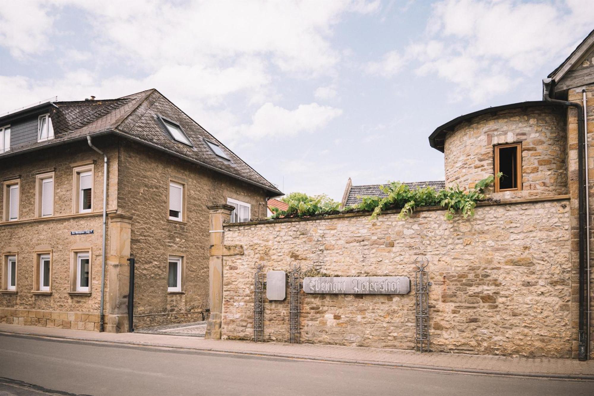 Apartamento Weingut Petershof Alzey Exterior foto