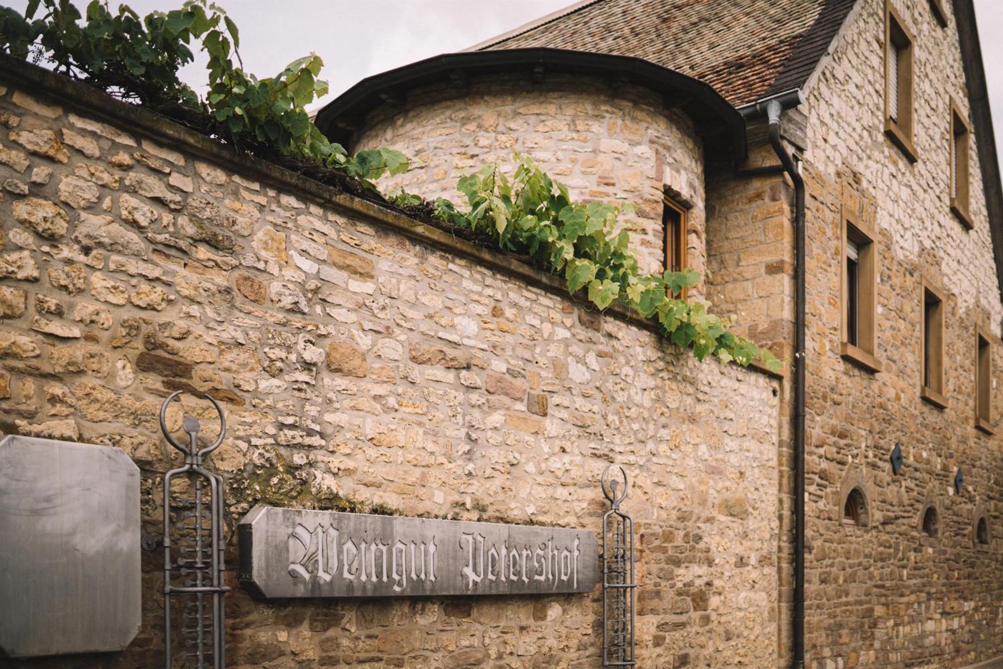Apartamento Weingut Petershof Alzey Exterior foto